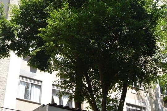 Fachada de apartamento à venda com 3 quartos, 59m² em Santa Rosa, Niterói