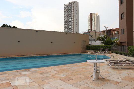Área comum - Piscina de apartamento para alugar com 3 quartos, 86m² em Cambuci, São Paulo