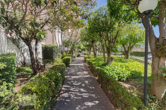 Área comum de apartamento para alugar com 2 quartos, 50m² em Parque Maria Domitila, São Paulo