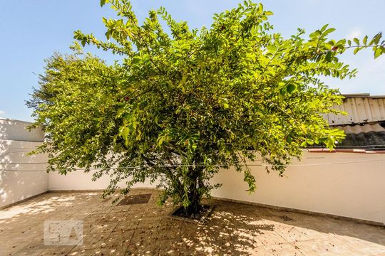 Quintal de casa à venda com 4 quartos, 233m² em Vila Industrial, Campinas
