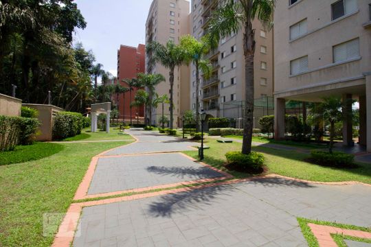 Área comum de apartamento para alugar com 3 quartos, 78m² em Jardim Ampliacao, São Paulo