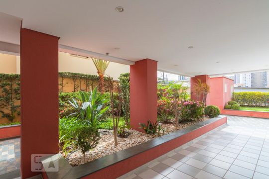 Área Comum de apartamento para alugar com 3 quartos, 95m² em Vila Valparaíso, Santo André
