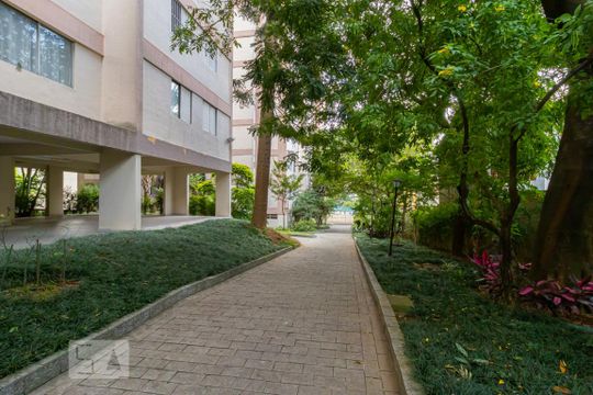 Área comum - Jardim de apartamento para alugar com 2 quartos, 64m² em Vila Mariana, São Paulo
