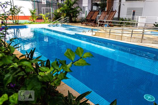 Área Comum - Piscina de apartamento para alugar com 2 quartos, 70m² em Jardim Prudência, São Paulo
