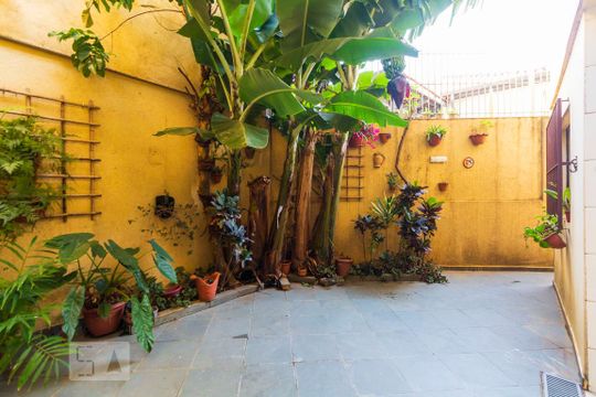 Quintal dos fundos de casa para alugar com 3 quartos, 198m² em São Judas, São Paulo