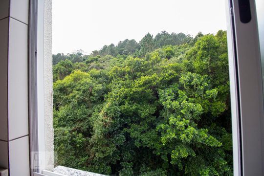 vista da area de serviço de apartamento para alugar com 2 quartos, 75m² em João Paulo, Florianópolis