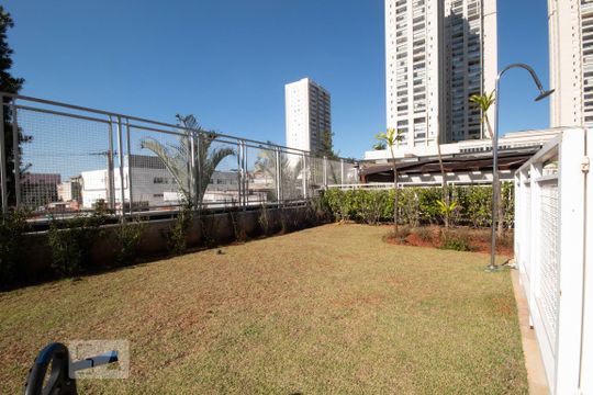 Área comum de apartamento para alugar com 2 quartos, 64m² em Vila Sônia, São Paulo