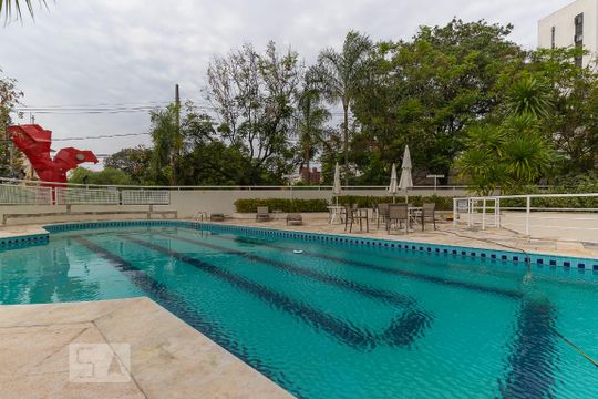Área comum - Piscina de apartamento para alugar com 1 quarto, 60m² em Cambuí, Campinas