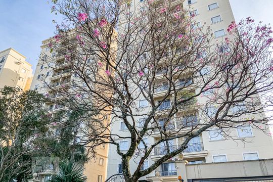 Fachada de apartamento à venda com 2 quartos, 85m² em Jardim Carlos Gomes, Campinas