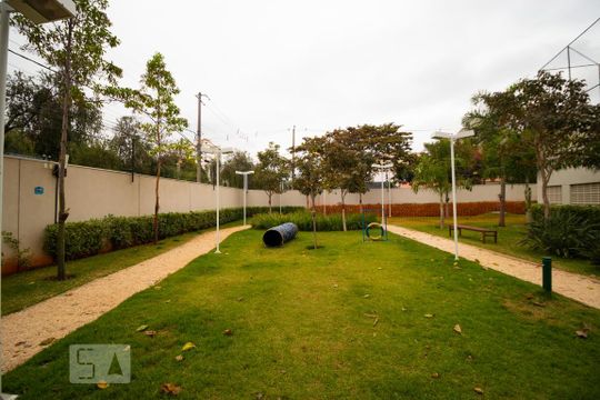 Área Comum - Pet Place de apartamento para alugar com 1 quarto, 58m² em Cambuí, Campinas