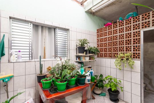 Quintal / Área de Serviço de casa para alugar com 2 quartos, 380m² em Parque das Nações, Santo André