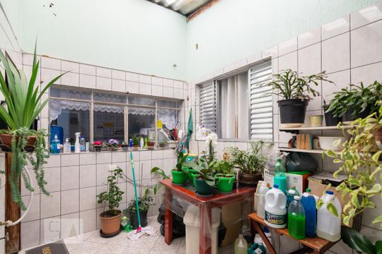 Quintal / Área de Serviço de casa para alugar com 2 quartos, 380m² em Parque das Nações, Santo André