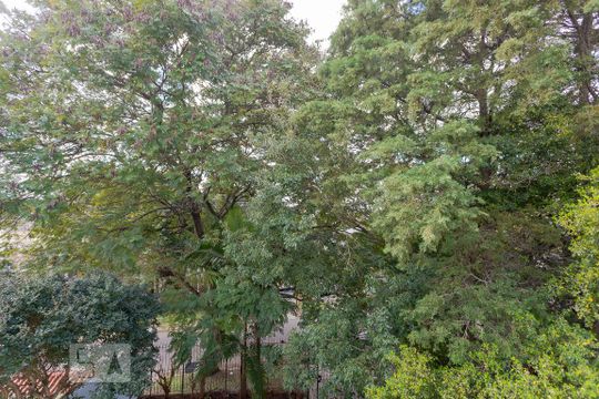 Vista do Quarto 2 de casa à venda com 4 quartos, 450m² em Vila Jardim, Porto Alegre
