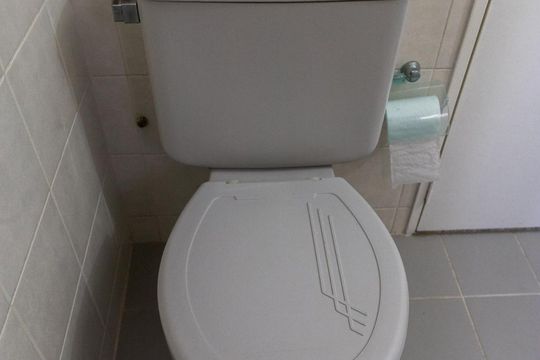 Banheiro de apartamento para alugar com 3 quartos, 70m² em Perdizes, São Paulo