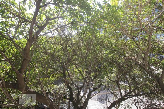 Vista da suíte de apartamento para alugar com 1 quarto, 59m² em Jardim Leonor, São Paulo