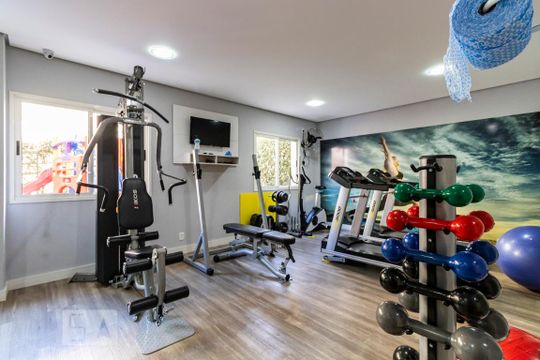 Área comum - Academia de apartamento para alugar com 2 quartos, 70m² em Cambuci, São Paulo