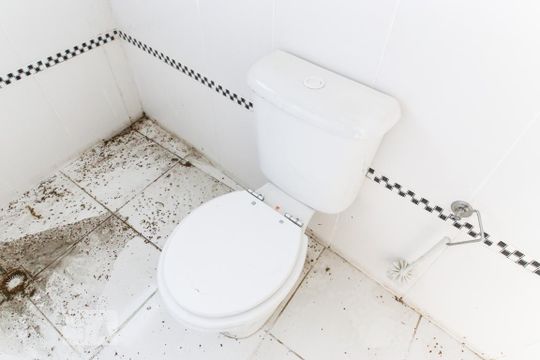 Banheiro de casa para alugar com 2 quartos, 190m² em Jardim Fátima, São José dos Campos