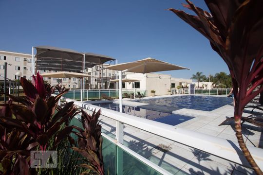 Área comum - piscina de apartamento para alugar com 2 quartos, 45m² em Residencial Jequitibá, Ribeirão Preto