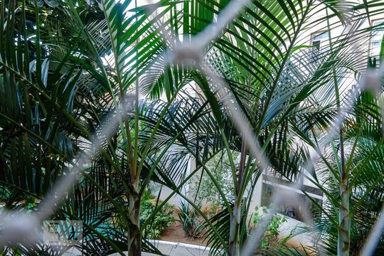 VIsta de apartamento à venda com 2 quartos, 62m² em Cidade Luz, São Paulo