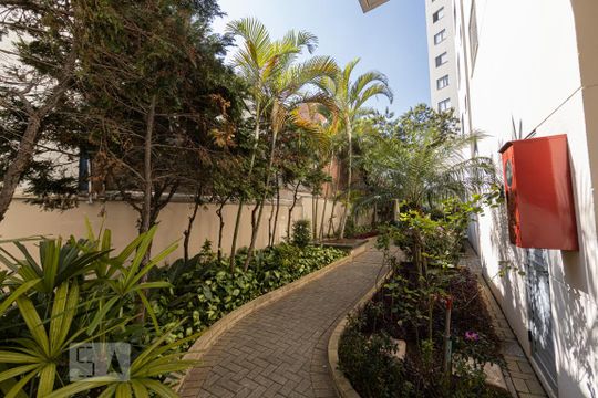 Área comum de apartamento para alugar com 2 quartos, 50m² em Vila Guilhermina, São Paulo