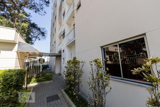 Área comum de apartamento para alugar com 2 quartos, 50m² em Vila Guilhermina, São Paulo