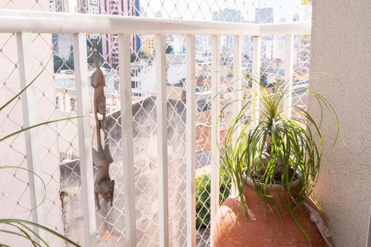 Varanda de apartamento à venda com 2 quartos, 50m² em Cambuci, São Paulo