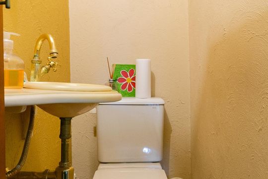Lavabo de casa para alugar com 3 quartos, 210m² em Vila Siqueira (zona Norte), São Paulo