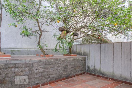 Quintal de casa à venda com 3 quartos, 152m² em Vila Amélia, São Paulo