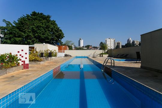 Área comum - Piscina de apartamento para alugar com 2 quartos, 60m² em Fazenda Morumbi, São Paulo