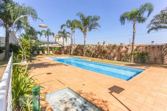 Area Comum Piscina de apartamento para alugar com 3 quartos, 72m² em Rio Pequeno, São Paulo