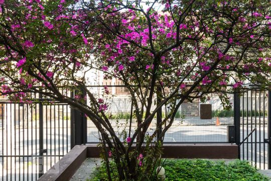 Vista de apartamento para alugar com 1 quarto, 50m² em Cerqueira César, São Paulo