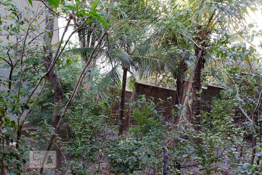 Quintal de casa para alugar com 4 quartos, 290m² em Santa Lúcia, Belo Horizonte