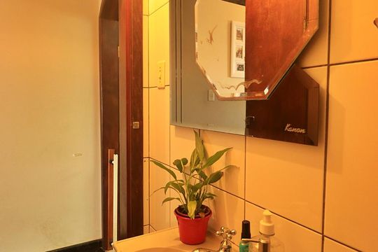 Lavabo de casa para alugar com 3 quartos, 224m² em Vila Camilópolis, Santo André