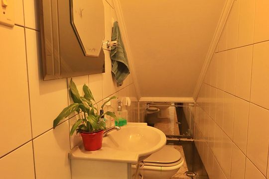 Lavabo de casa para alugar com 3 quartos, 224m² em Vila Camilópolis, Santo André