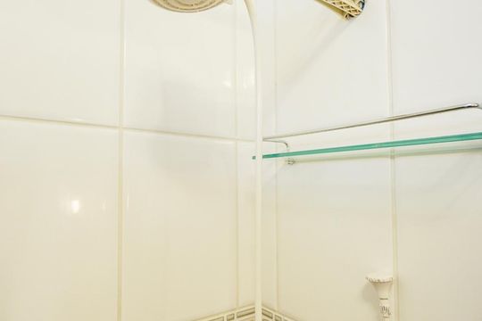 Chuveiro de apartamento para alugar com 3 quartos, 77m² em Vila Prudente, São Paulo