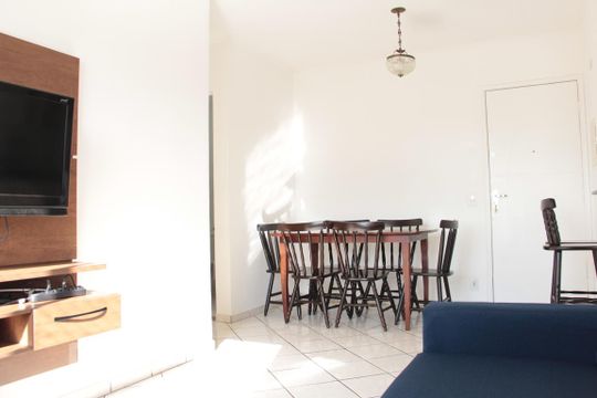 Sala de apartamento para alugar com 2 quartos, 48m² em Vila Santa Clara, São Paulo