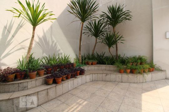 Área comum de apartamento para alugar com 2 quartos, 68m² em Vila Gertrudes, São Paulo