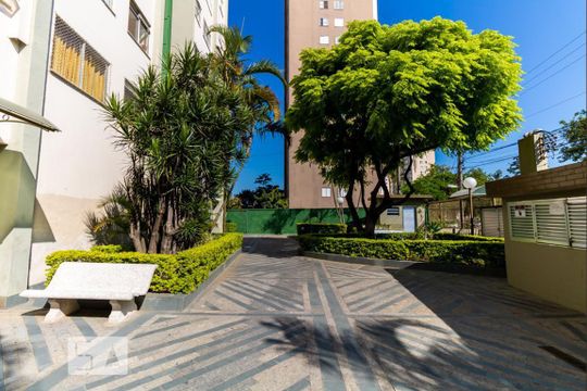 Área Comum  de apartamento para alugar com 2 quartos, 58m² em Jardim Andarai, São Paulo