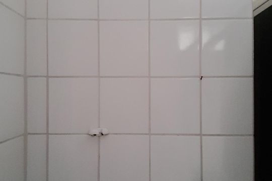 Banheiro de apartamento para alugar com 3 quartos, 60m² em Vila Zat, São Paulo