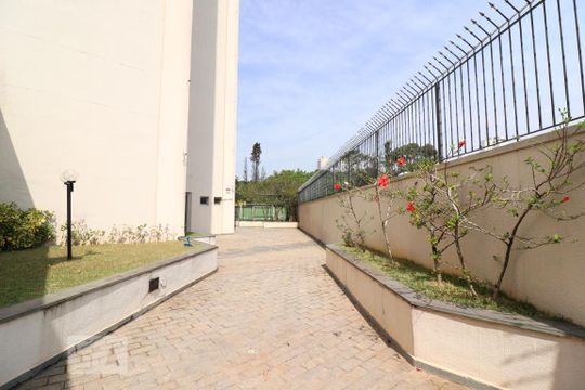 Área Comum de apartamento para alugar com 2 quartos, 60m² em Vila Firmiano Pinto, São Paulo