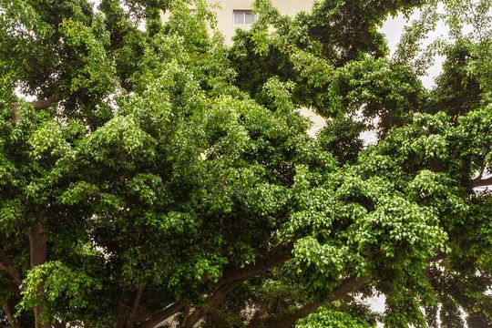 Fachada de apartamento para alugar com 2 quartos, 70m² em Alto da Lapa, São Paulo