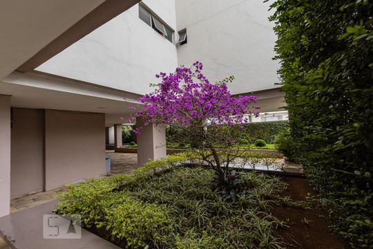 
Área comum
 de apartamento para alugar com 2 quartos, 55m² em Vila Esperança, São Paulo
