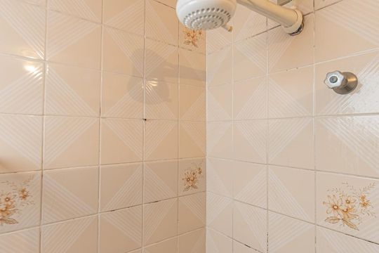Banheiro Social de apartamento para alugar com 2 quartos, 55m² em Vila Esperança, São Paulo