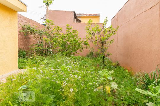 Quintal - Jardim de casa à venda com 3 quartos, 150m² em Penha de França, São Paulo