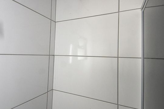 Banheiro de casa para alugar com 8 quartos, 160m² em Santos Dumont, São Leopoldo