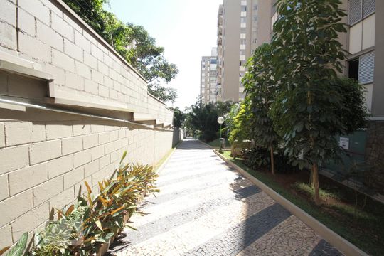 Área comum de apartamento para alugar com 2 quartos, 59m² em Jardim São Savério, São Paulo