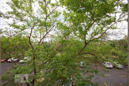 Vista da janela da sala de apartamento para alugar com 2 quartos, 47m² em Distrito de Bonfim Paulista, Ribeirão Preto