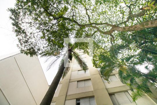 Fachada detalhe paisagismo de apartamento à venda com 1 quarto, 33m² em Indianópolis, São Paulo