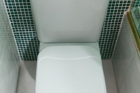 Detalhe de casa à venda com 4 quartos, 300m² em Vila Carmosina, São Paulo