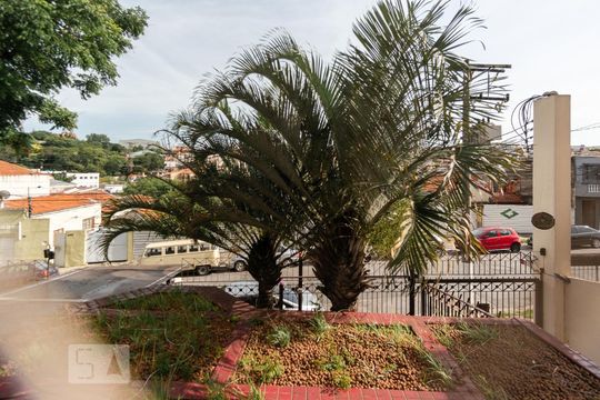 Vista da Suíte de apartamento à venda com 3 quartos, 85m² em Casa Verde, São Paulo